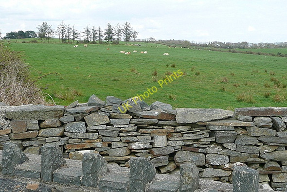 Photo 6"x4" Pasture at Shannakea Coolmeen c2010