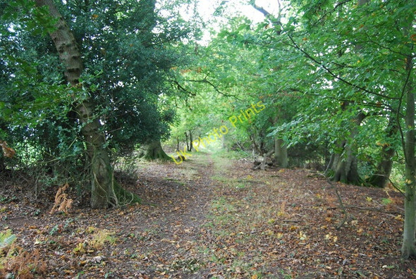 Photo 6"x4" Sussex Border Path heading to Great Danegate Danegate c2010