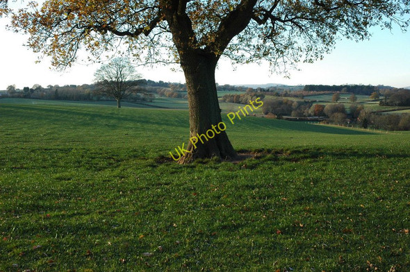 Photo 6"x4" Farmland at Rock Rock\/SO7371 c2010
