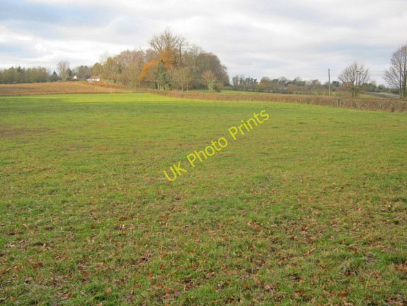 Photo 6"x4" Meadow near Bredenbury Bredenbury c2010