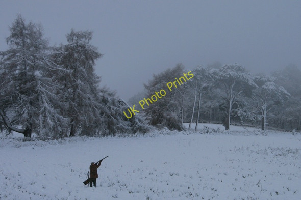 Photo 6"x4" Gun at peg number 1 in the neap field Woodside\/NJ0555 c2010