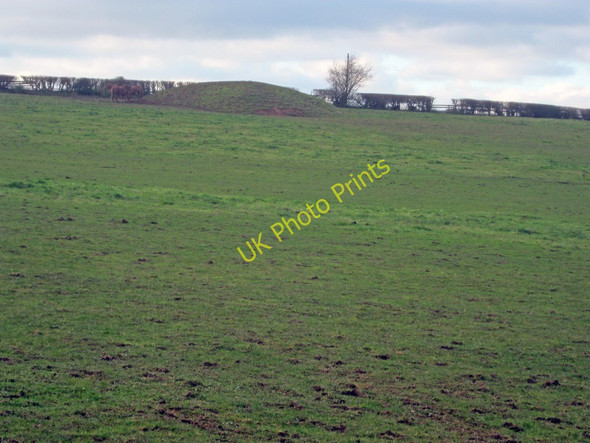 Photo 6"x4" Motte at Wacton Wacton\/SO6157 c2010