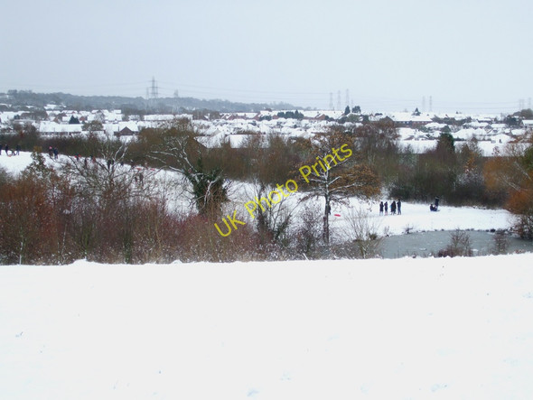 Photo 6"x4" Sweyne Park Rayleigh c2010 P1