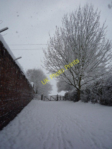 Photo 6"x4" Gate onto Walmgate Stray York\/SE5951 c2010