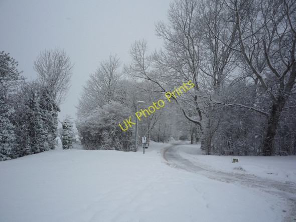 Photo 6"x4" Path around Wentworth York\/SE5951 c2010