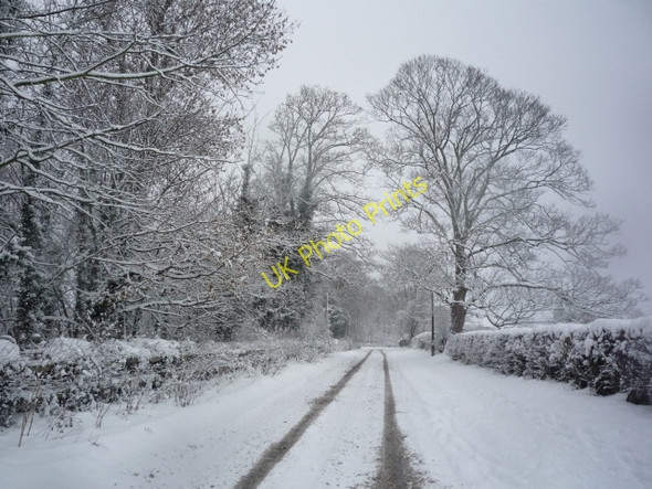 Photo 6"x4" Windmill Lane Heslington c2010