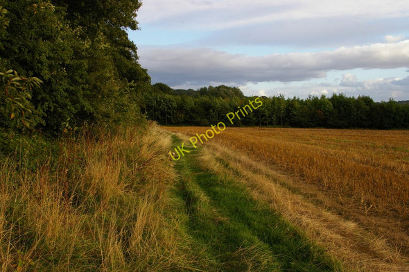 Photo 6"x4" Looking south along the edge of Berrington Hall's parkland Eye\/SO4963 c2009
