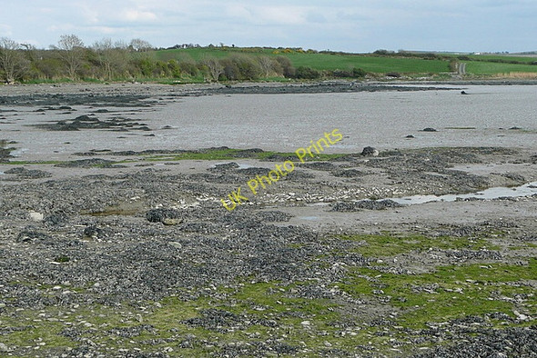 Photo 6"x4" Shoreline at Goleensallagh Loghill c2010