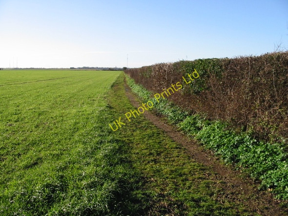 Photo 6"x4" Looking SW along a bridleway from Station Road to Pond Lane Martin Mill c2008