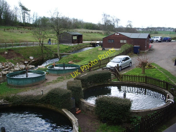 Photo 6"x4" New Mills Trout Farm Milton\/NY5560 c2008