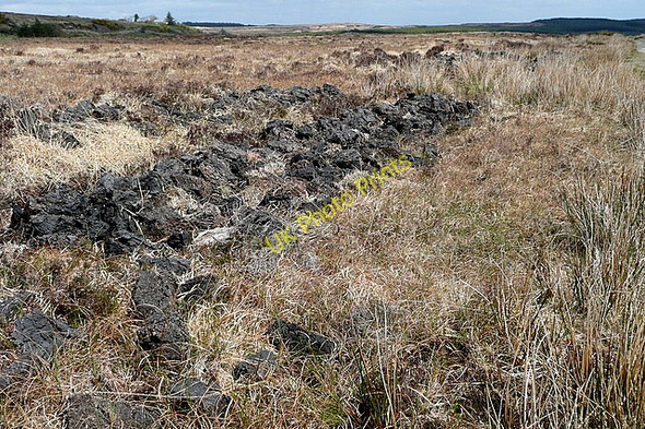 Photo 6"x4" Turf cutting Liscasey c2010