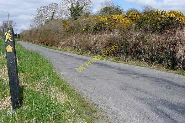 Photo 6"x4" Mid Clare Way Ballynacally c2010