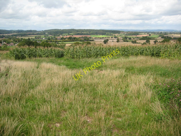 Photo 6"x4" Country around Kilpeck Marlas\/SO4429 c2010
