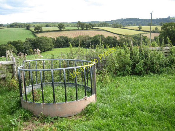 Photo 6"x4" Cattle feeder Kilpeck c2010