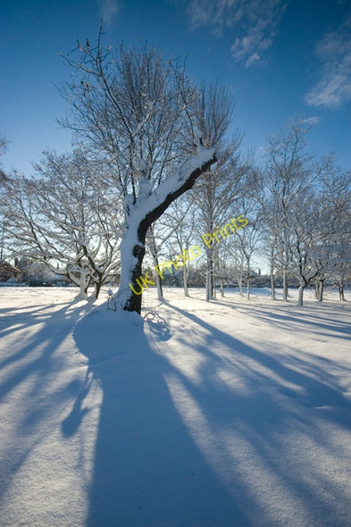 Photo 6"x4" Scunthorpe Central Park in the snow Scunthorpe c2010