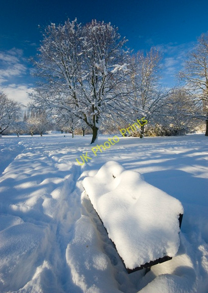 Photo 6"x4" Scunthorpe Central Park bench Scunthorpe c2010