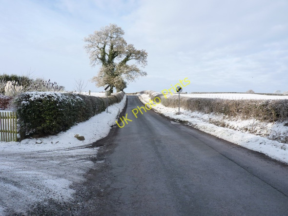 Photo 6"x4" Lane out of Longville towards Cardington and Plaish Longville in the Dale c2010
