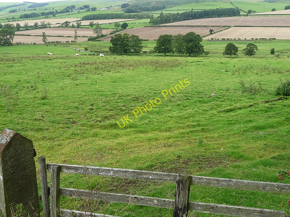 Photo 6"x4" Farmland near Yetlington (3) Eslington Park c2010