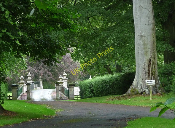 Photo 6"x4" Gates near Whittingham Eslington Park c2010