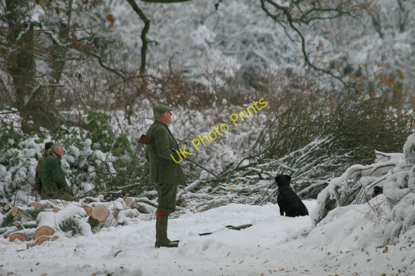 Photo 6"x4" Solemn expectation at the West Drive at the Altyre shoot Woodside\/NJ0555 c2010