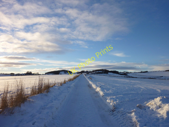 Photo 6"x4" To Cuplahills Balmullo c2010