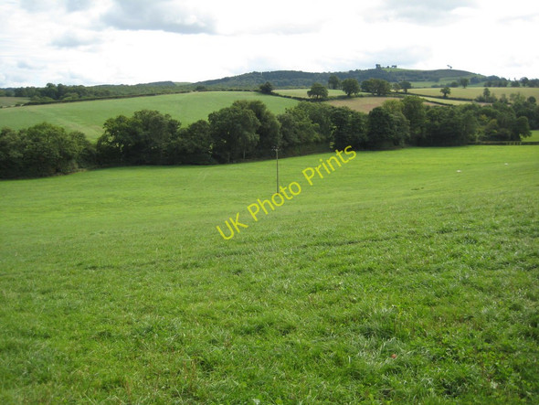 Photo 6"x4" View to Orcop Hill Marlas\/SO4429 c2010