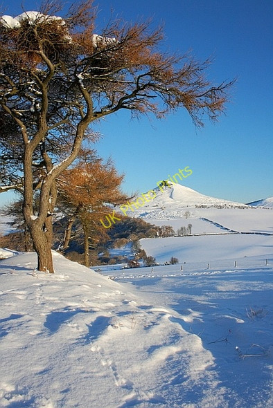 Photo 6"x4" Roseberry From Cliff Ridge Great Ayton c2010