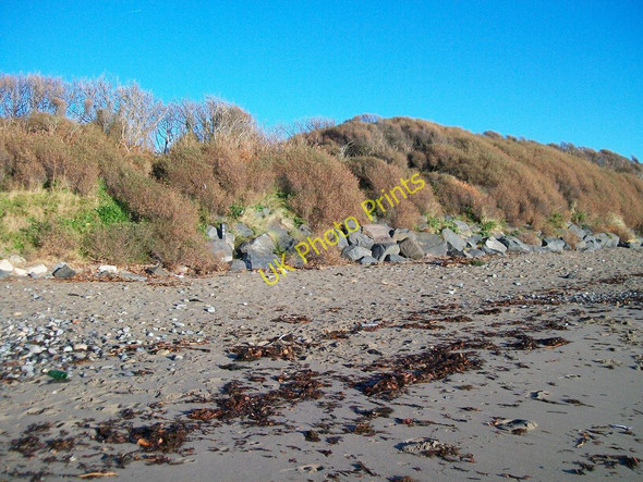 Photo 6"x4" Dunes bordering on the Royal County Down Golf Course Newcastle\/J3732 c2010