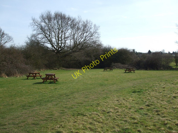 Photo 6"x4" Priory Fields Bicknacre c2009