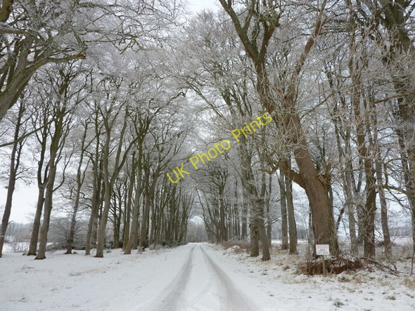 Photo 6"x4" Private road to Allan House Arabella c2010