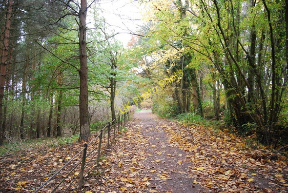 Photo 6"x4" 1066 Country Walk, Saxon Wood Battle\/TQ7416 c2010