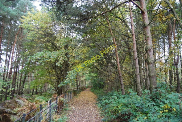 Photo 6"x4" 1066 Country Walk, Saxon Wood Battle\/TQ7416 c2010