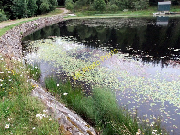 Photo 6"x4" Allt a' Chip Dhuibh Port of Menteith c2010