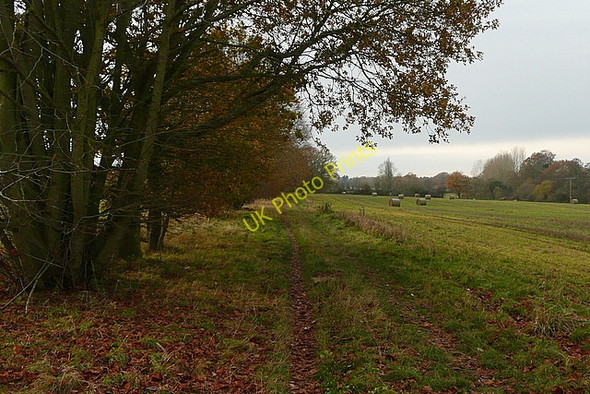 Photo 6"x4" Near High Wood Kiff Green c2010