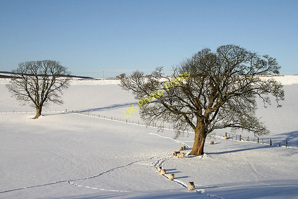 Photo 6"x4" Winter farmland near Greenhead Selkirk c2010