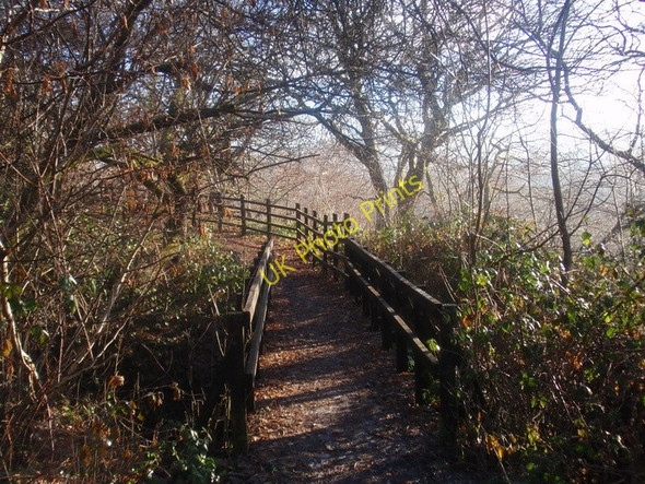 Photo 6"x4" Llwybr Ynys Dawela Footpath Lower Brynamman c2010