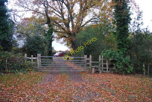 Photo 6"x4" 1066 Country Walk approaches Powdermills Lane Battle\/TQ7416 c2010