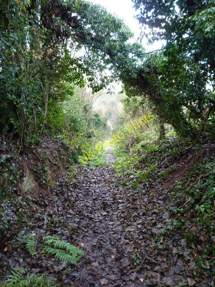 Photo 6"x4" Bridleway west of Barnsley Barnsley\/SO7593 c2010