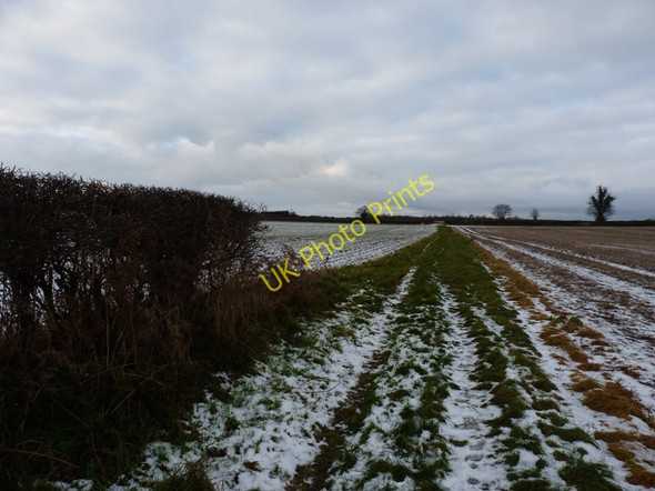 Photo 6"x4" Footpath behind The Hobbins Bridgnorth c2010