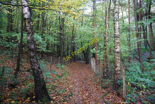Photo 6"x4" Footpath, Great Wood Romney Street c2010