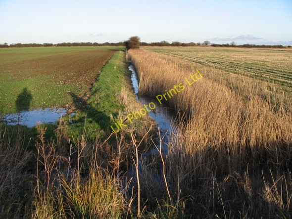 Photo 6"x4" View towards the railway line along one of the many ditches Sandwich c2008