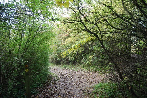 Photo 6"x4" Waymark, North Downs Way, Otford Mount Otford c2010