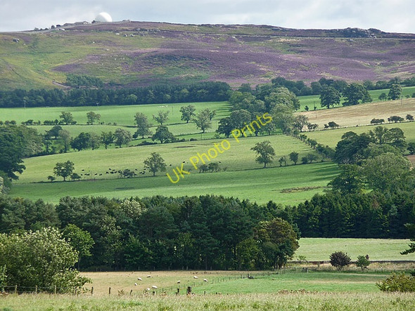 Photo 6"x4" Farmland near Bolton Bolton\/NU1013 c2010
