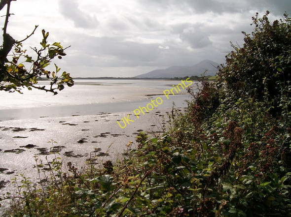 Photo 6"x4" The Blackstaff River meandering between mud flats in the Inner Bay Clough\/J4040 c2010