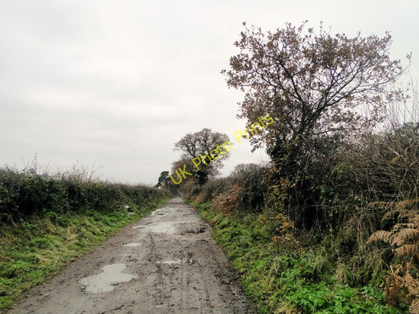 Photo 6"x4" Track near Angles Way in winter conditions Camps Heath c2010