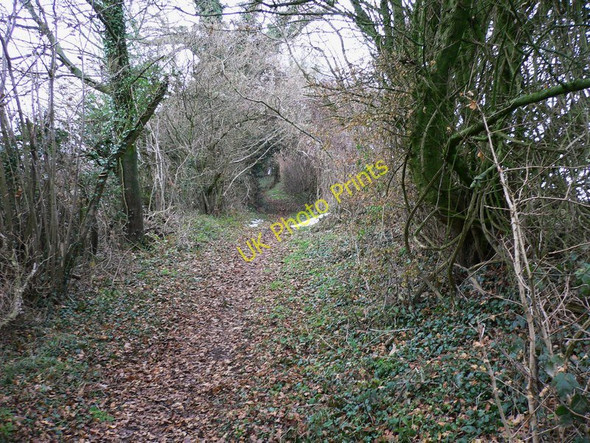 Photo 6"x4" Enclosed footpath near Brooms Farm looking west Chilgrove c2010