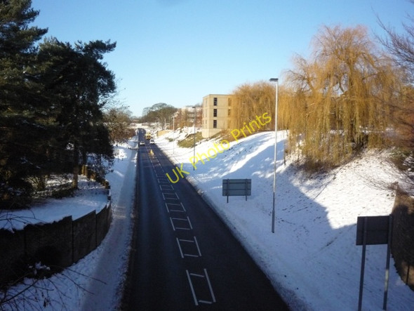 Photo 6"x4" University Road Heslington c2010