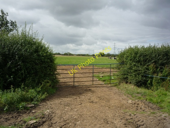 Photo 6"x4" Gate into field Alne Station c2010