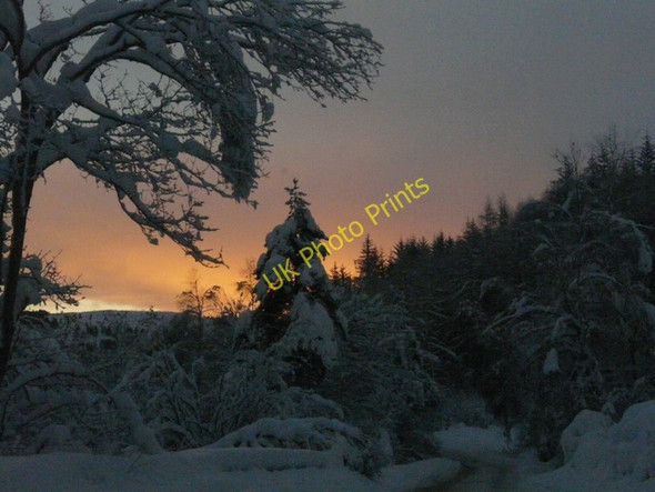 Photo 6"x4" Achany Glen Gruids c2010