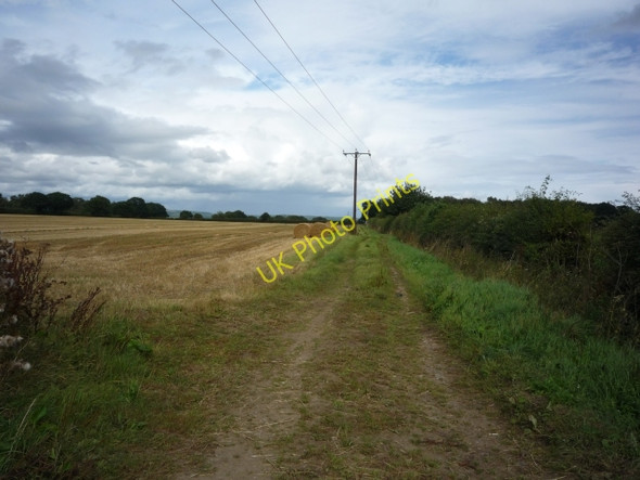 Photo 6"x4" Powerlines and Bales Raskelf c2010